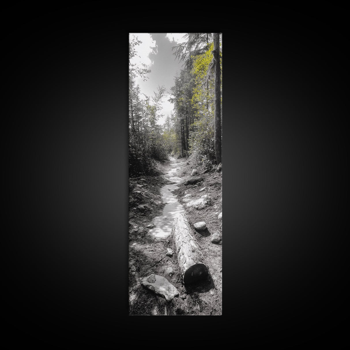 Forest Path, Autumn Leaves, Nature Trail, Framed Canvas Print, Black and White Wall Art, Cabin Decor, Rustic Hallway Accent