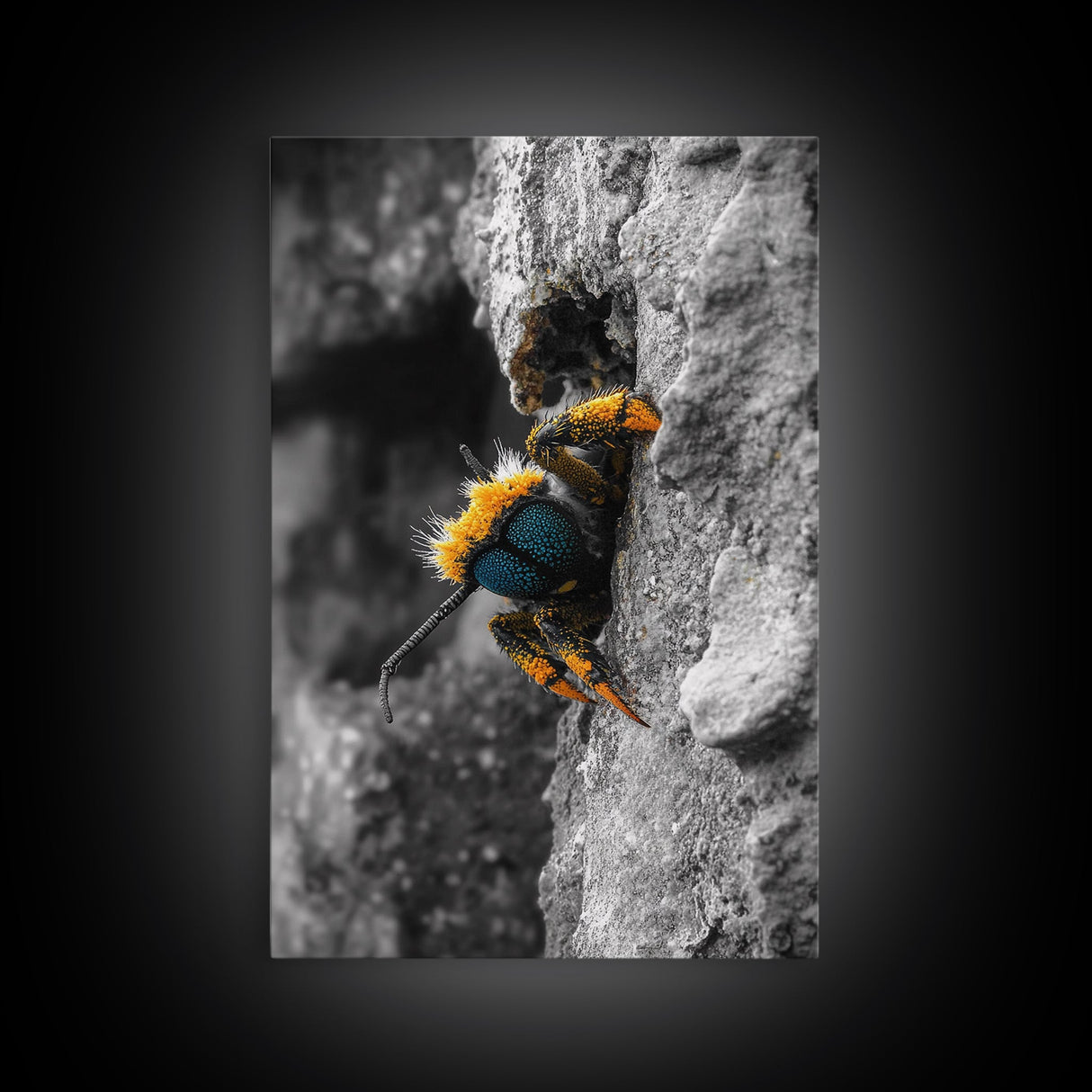 Fuzzy Bee Closeup, Insect Macro, Nature Texture, Framed Canvas Print, Wildlife Wall Art, Entomology Decor, Nature Photography