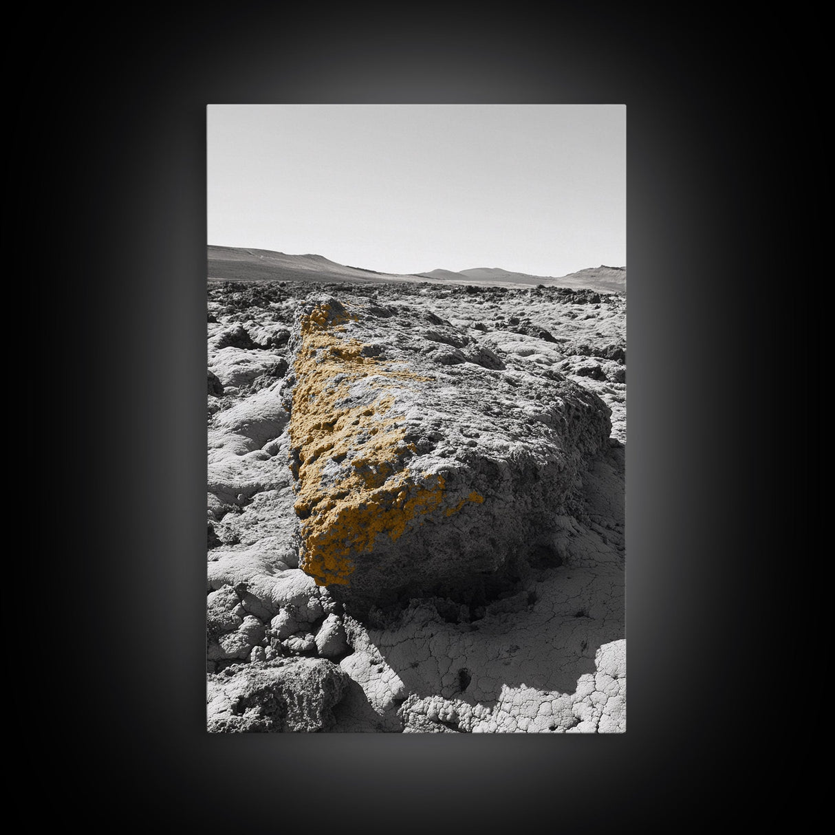 Yellow Lichen Rock, Monochrome Landscape, Desert Texture, Canvas Print, Rustic Wall Art, Minimalist Decor, Entryway or Office Art