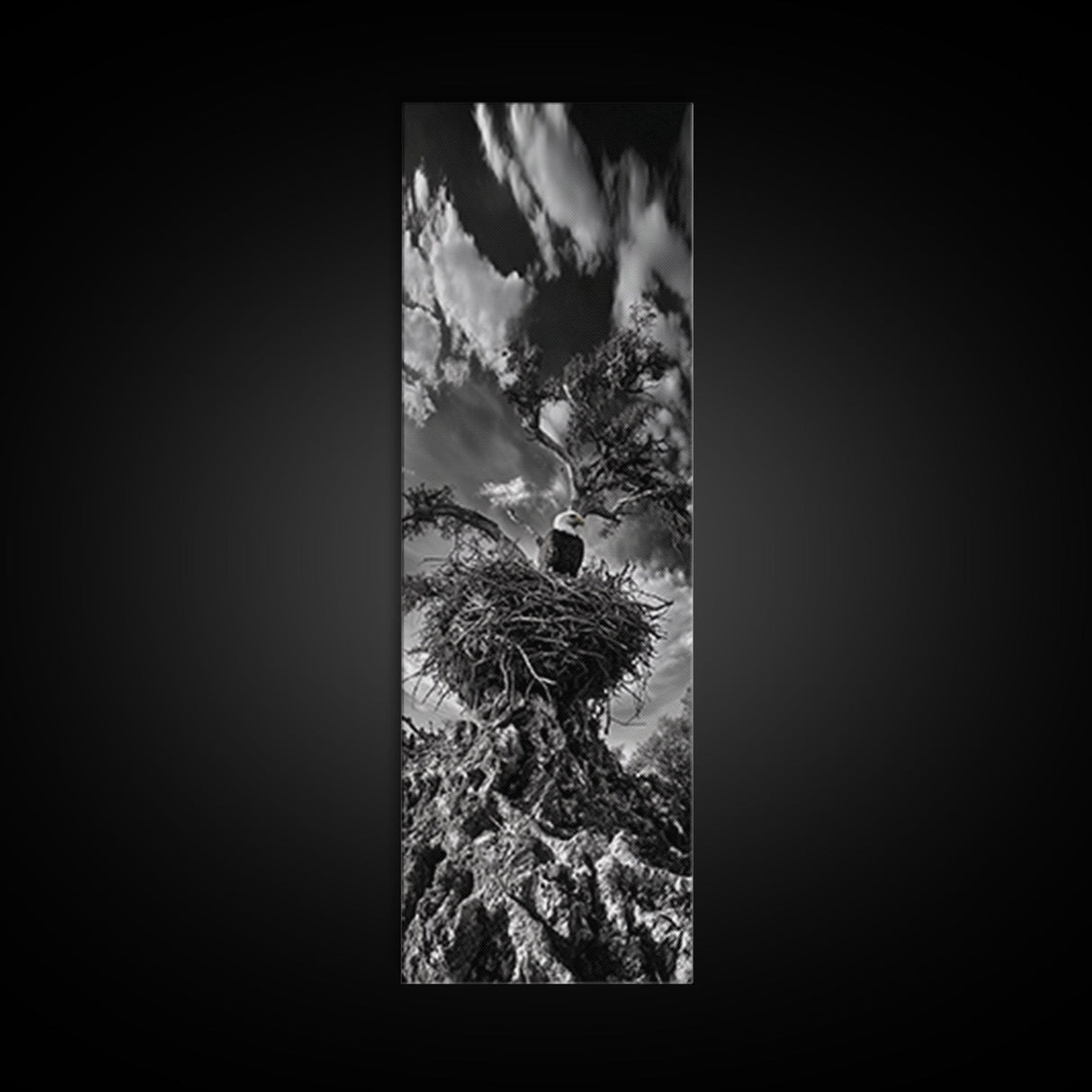 Bald Eagle Nest ,Framed Canvas Print, bird art, moody art, rustic décor, farmhouse art, gift idea, southwest wall art, landscape painting