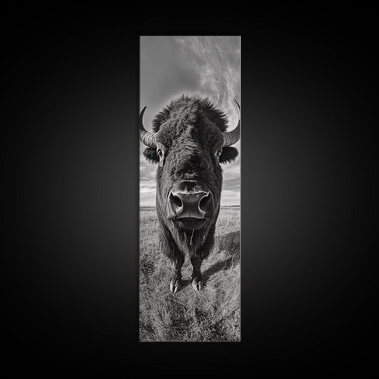 Majestic Bison Close-Up, Framed Canvas Print, rustic wall art, cowboy home décor, wildlife photography, farmhouse art, black and white photography