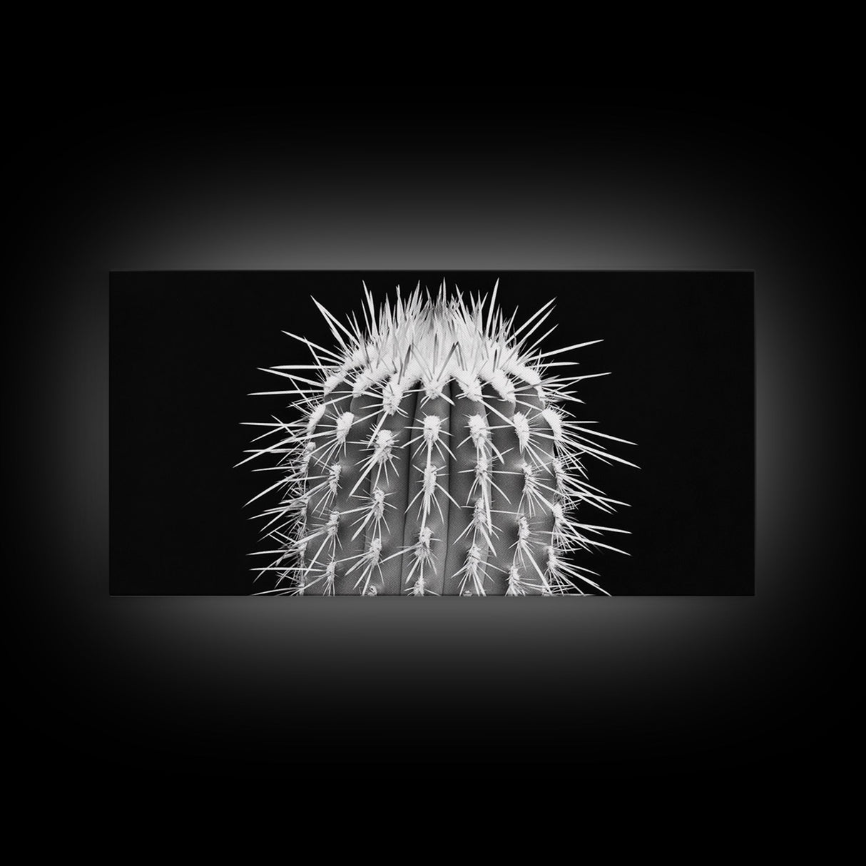 Cactus Spines, southwest wall art, desert art, botanical prints, geometric wall art, nature photography, sharp contrast, Framed Canvas Print