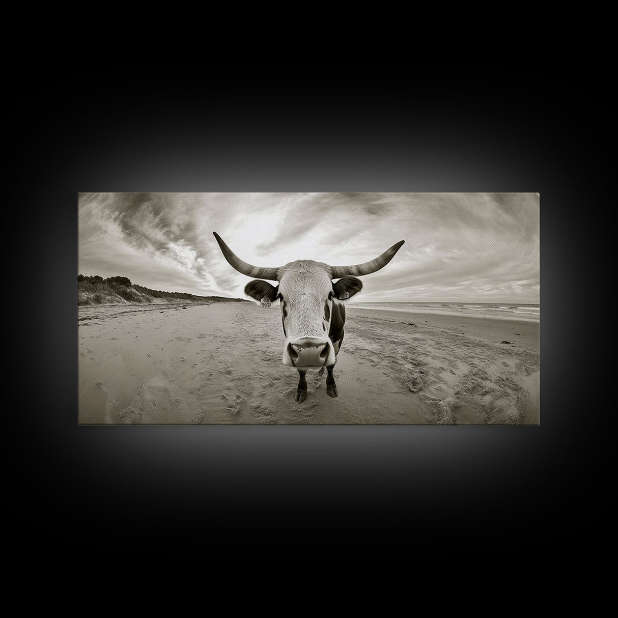 Longhorn, beach, western decor, rustic art, farmhouse art, extra wide art, above sofa art, panoramic painting, framed canvas print