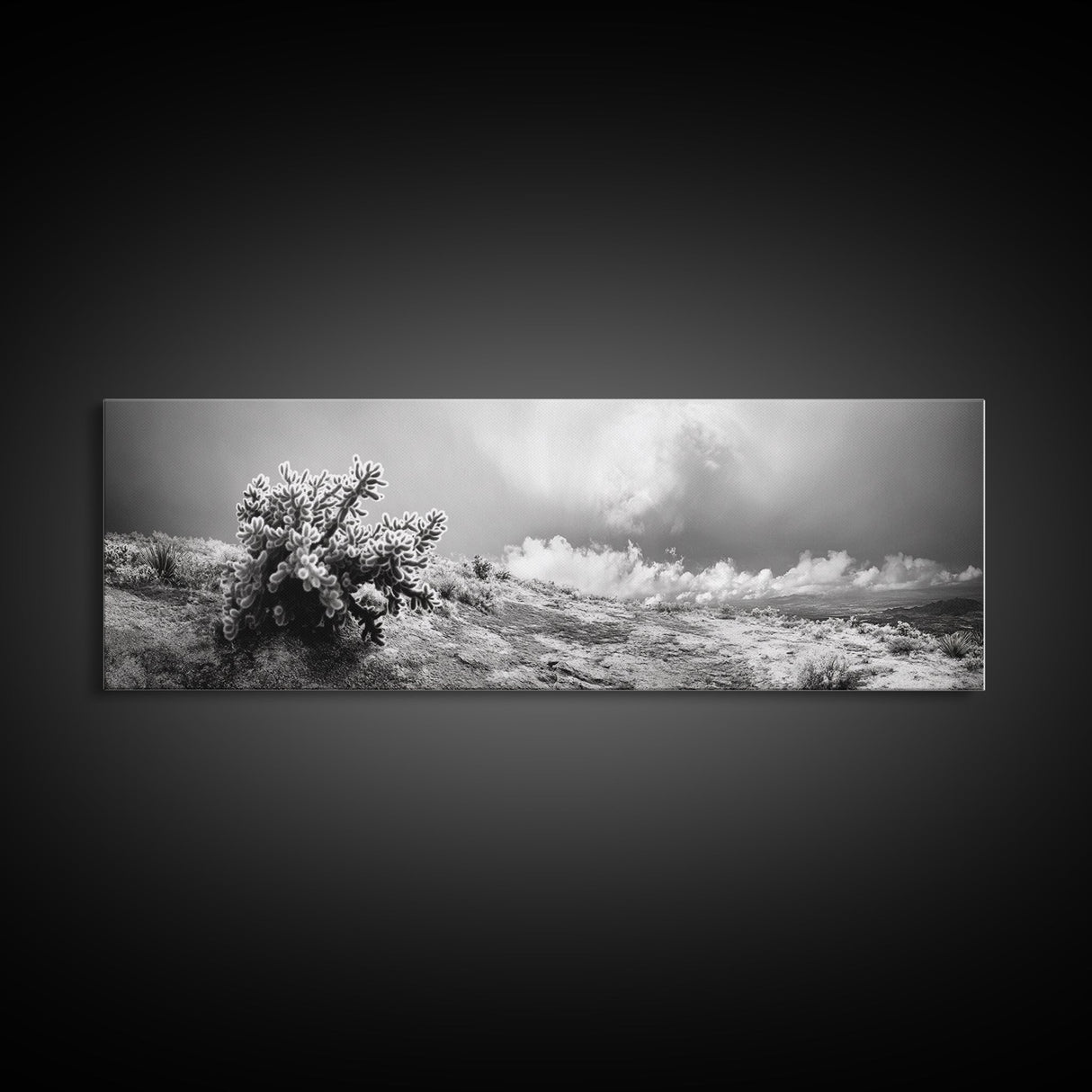 Desert Cactus, Southwest Wall Art, Canvas Print, Joshua Tree Art, Rustic Decor, Extra Wide Art, Moody Black And White Art, Above Sofa Art