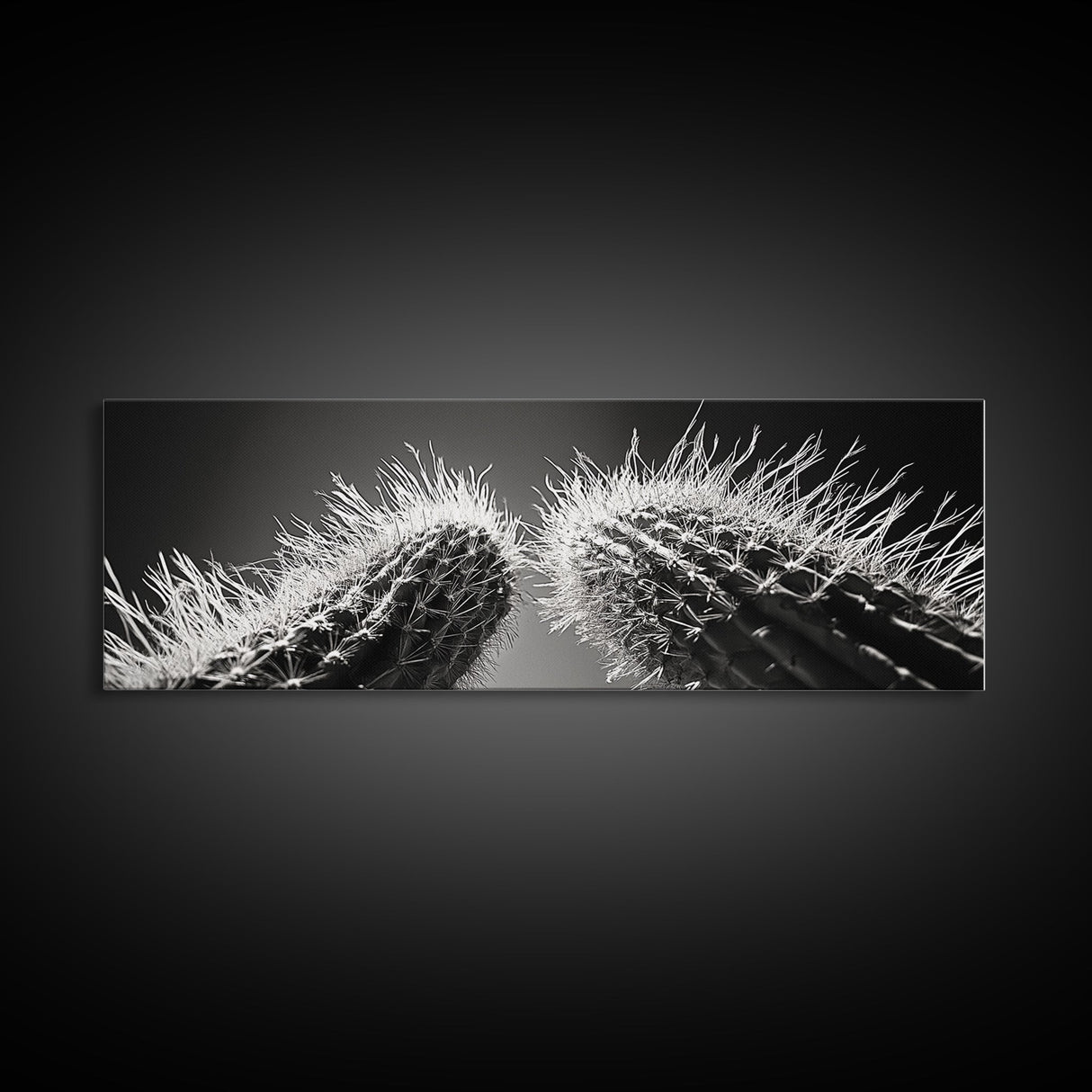 Desert Cactus, southwest wall art, moody art, Joshua tree art, extra wide wall art, nature photography, framed canvas print