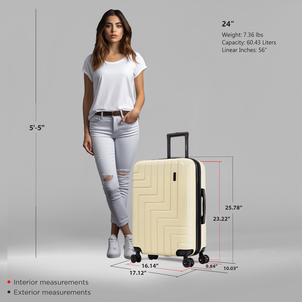 ZAHAV Medium 24"