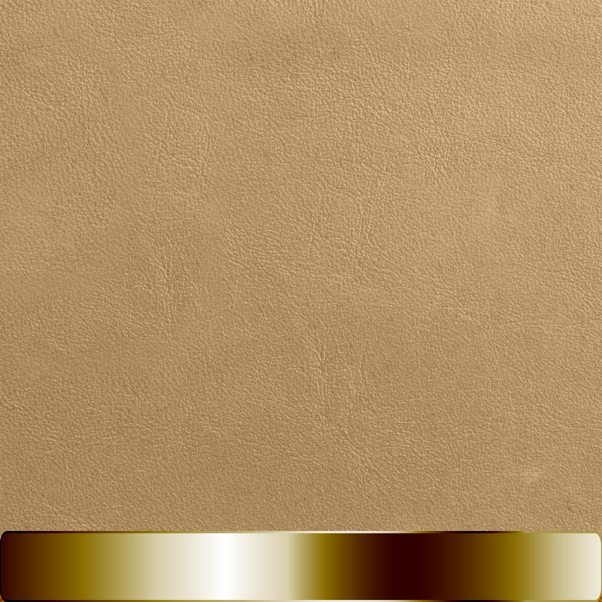 The Chapstick Holder