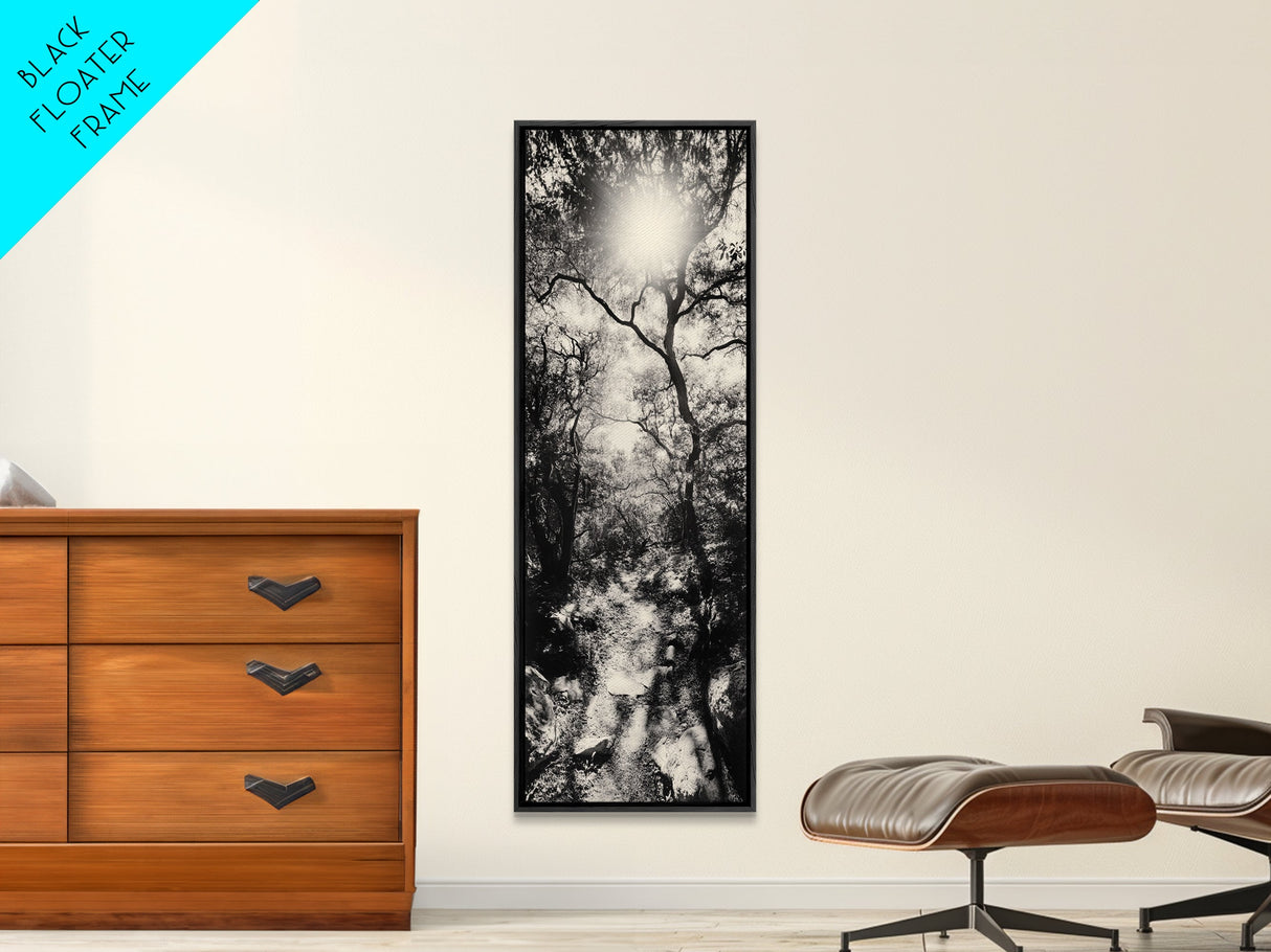 Forest Path, Sunburst Trees, Woodland Trail, Nature Light Framed Canvas Print, Boho Entryway Wall Art, Autumn Rustic Home Decor