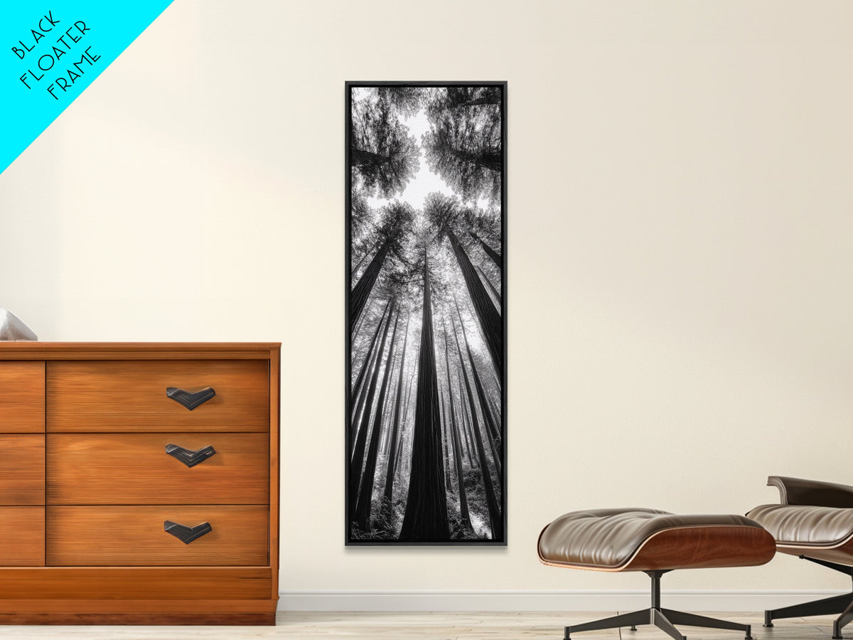 Redwood Forest, Sunlight Trees, Nature Canopy, Canvas Print, Serene Woodland Art, Cabin Wall Decor, Black and White Forest Art, Bedroom Wall Art
