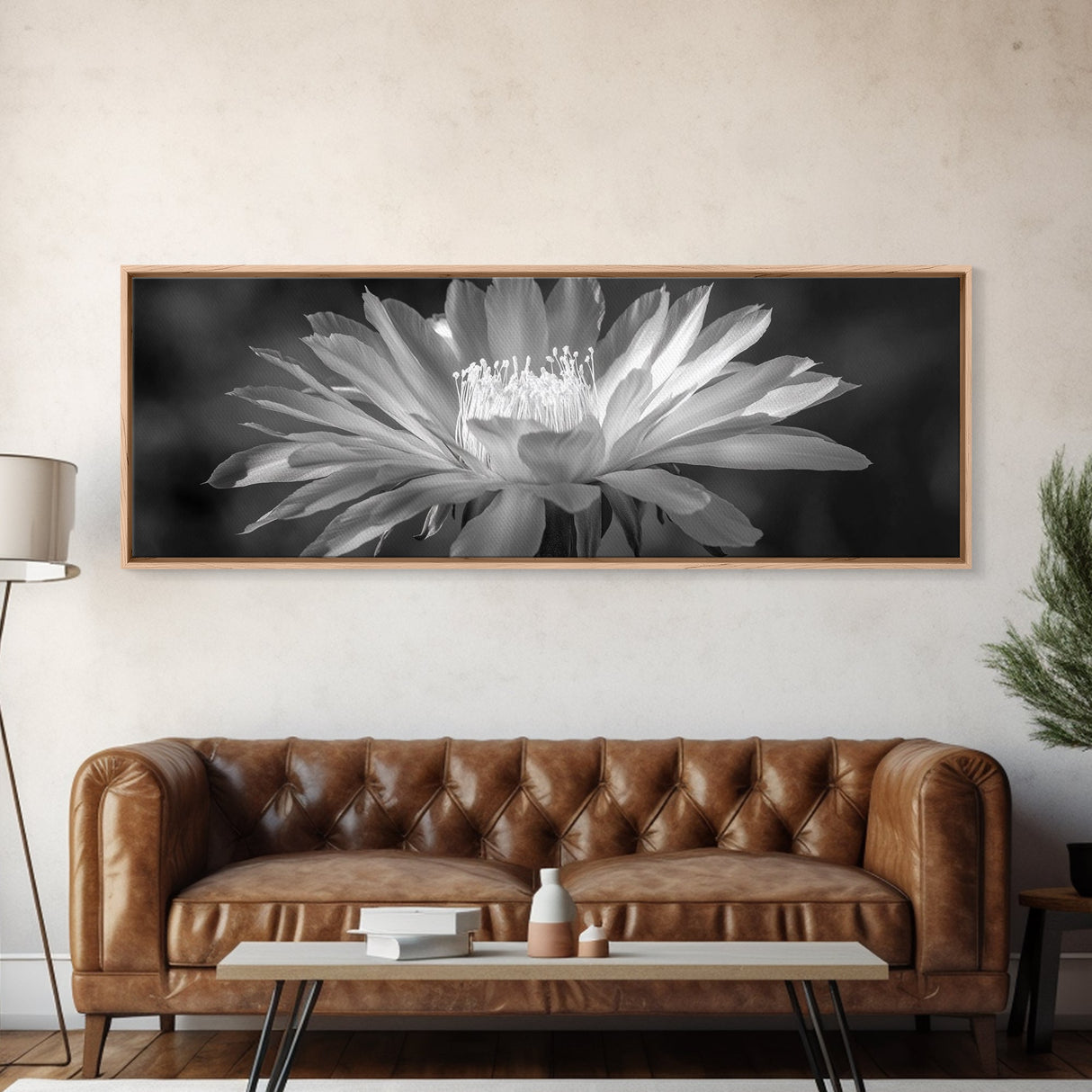 Soft Bloom, Desert Cactus Flower, Close-Up Botanical, Modern Black White Art, Framed Canvas Print, Bathroom Wall Art, Nature Photography