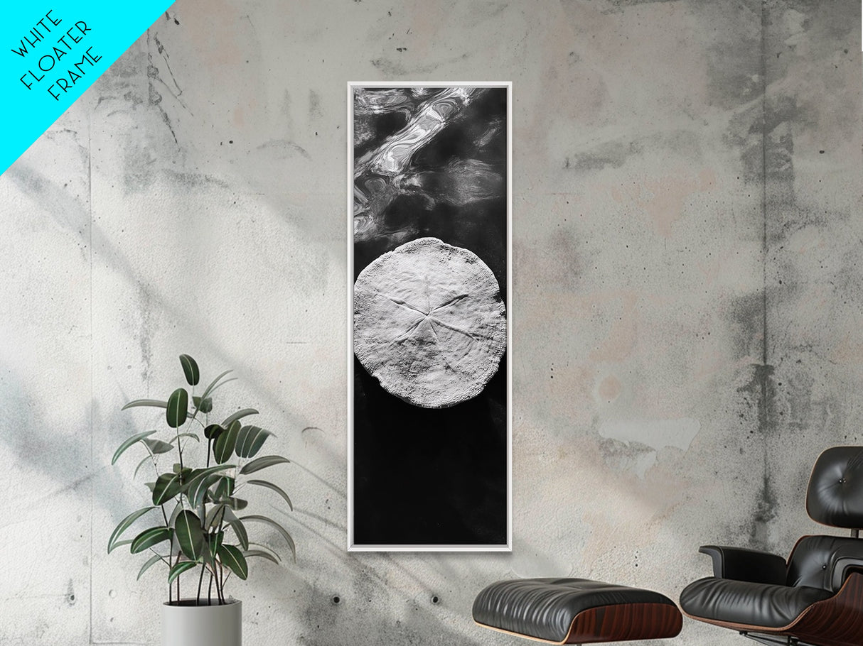 Sand Dollar Print, Minimalist Beach Decor, Sea Shell Wall Art, Coastal Bathroom or Nursery Style, Framed Canvas Print, Ocean Texture