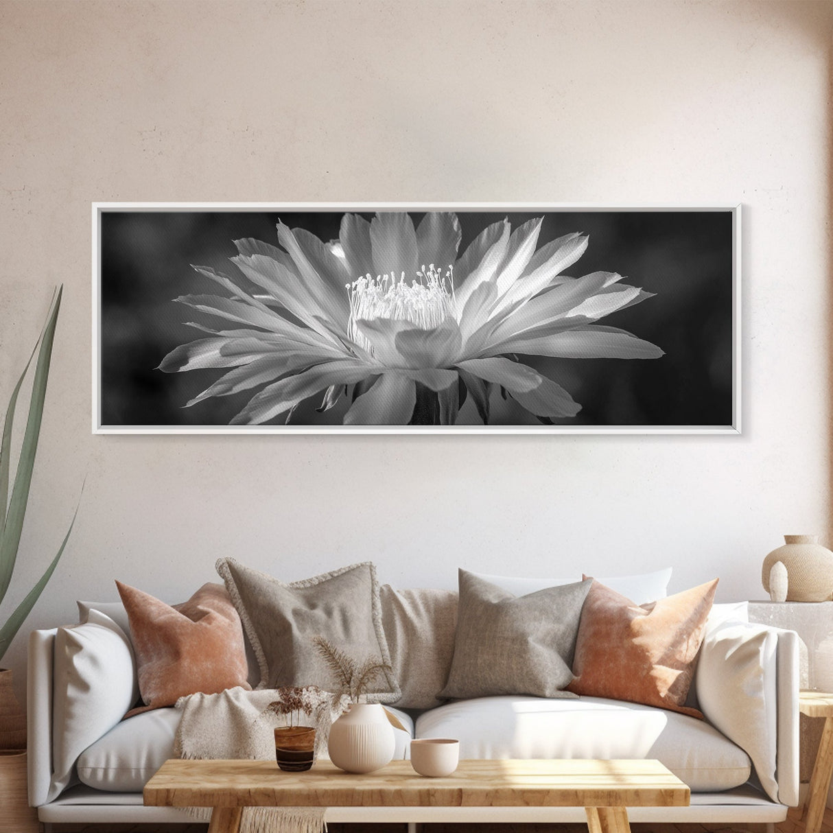 Soft Bloom, Desert Cactus Flower, Close-Up Botanical, Modern Black White Art, Framed Canvas Print, Bathroom Wall Art, Nature Photography
