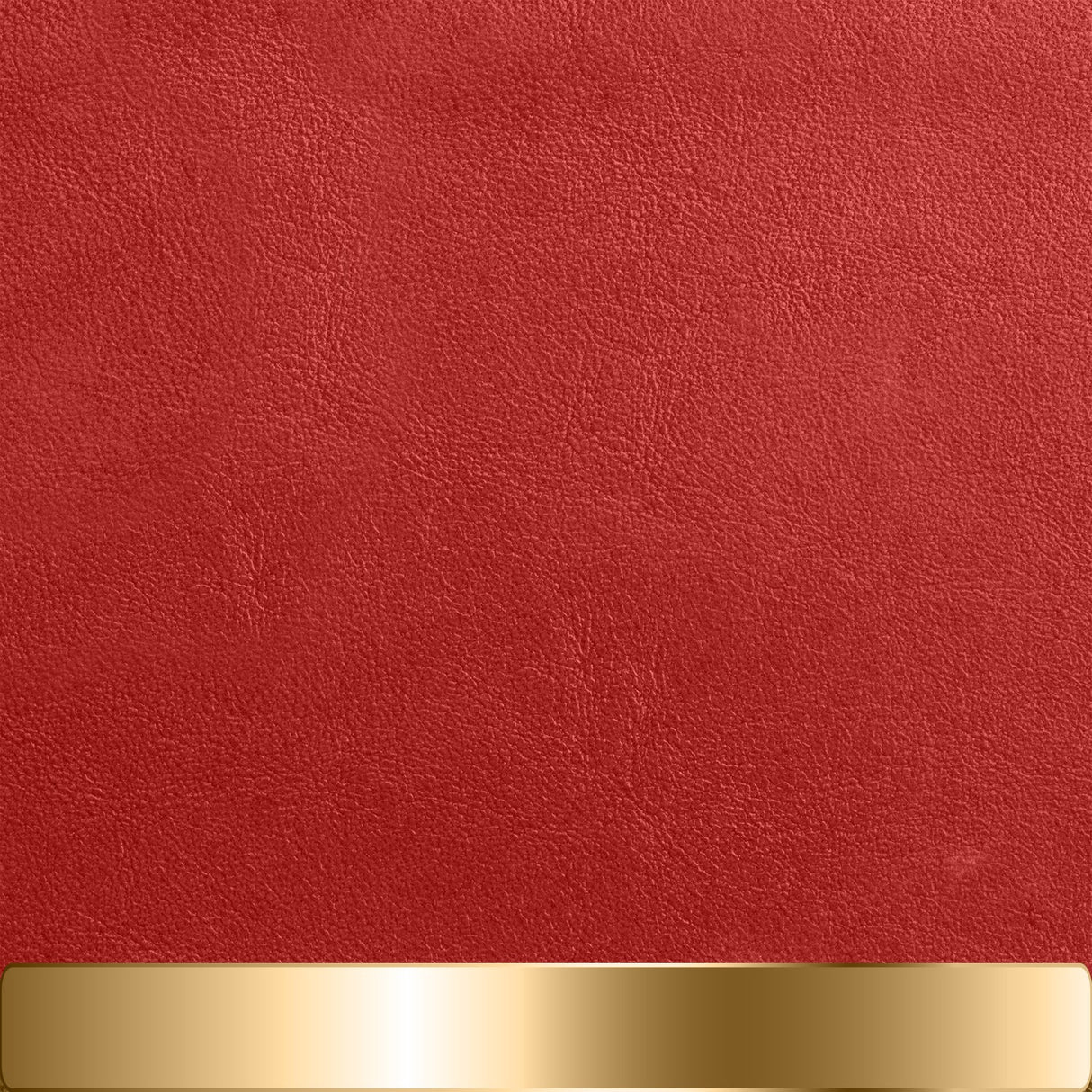 The Chapstick Holder