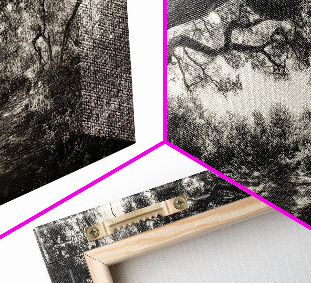 Twisted Forest Canopy, Ancient Trees, Mystical Woodland, Canvas Print, Boho Living Room Art, Black and White Nature Print, Cabin Decor