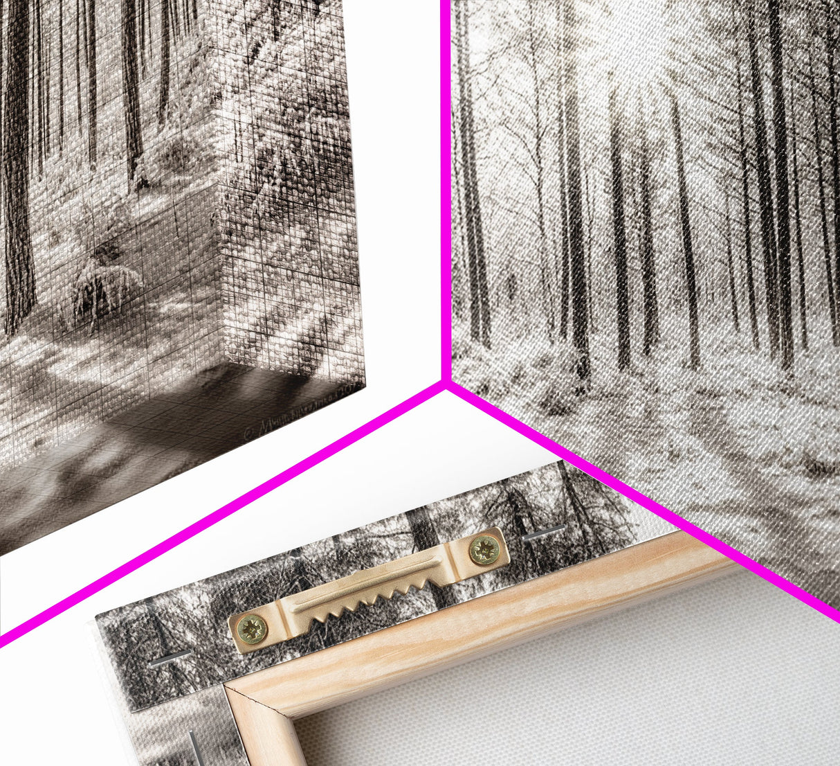 Winter Pine Forest, Sunlight Snow Trees, Nature Landscape Photography, Framed Canvas Print, Cabin Decor, Minimalist Wall Art