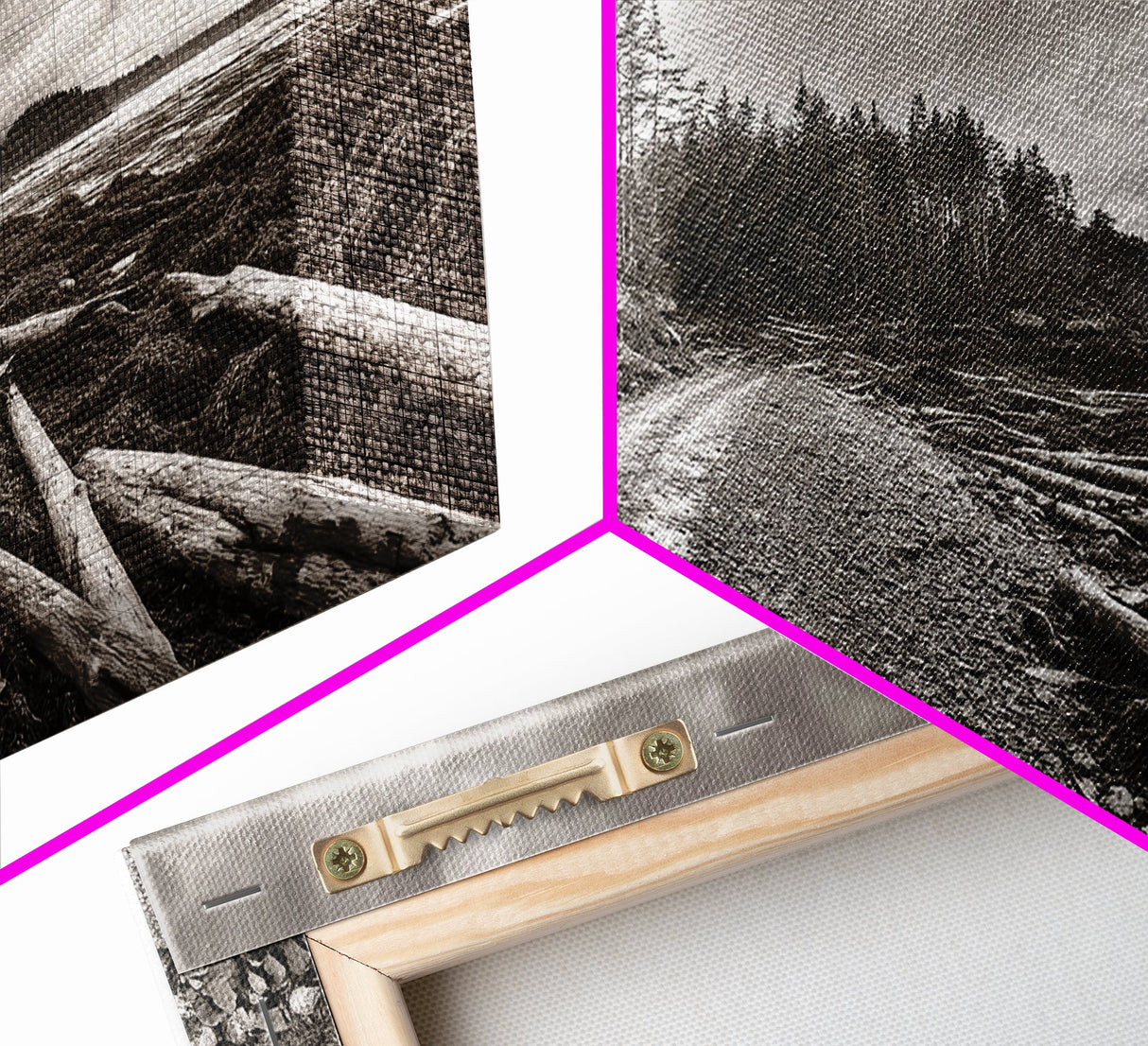 Forest Ocean Trail, Stormy Beach Scene, Driftwood Pathway, Framed Canvas Print, Cabin Entryway or Nature-Inspired Living Room Art