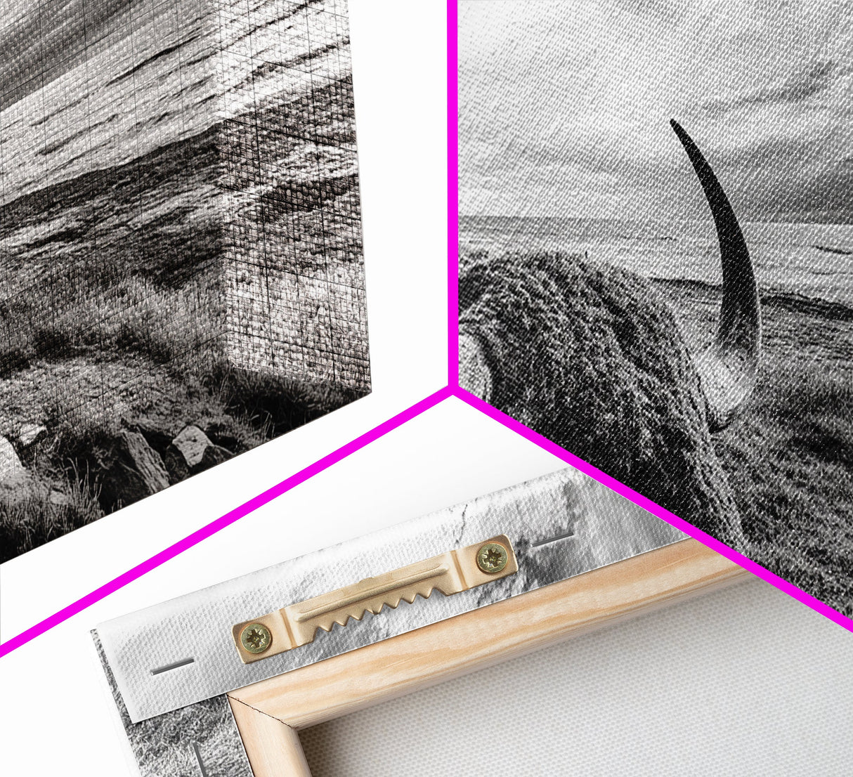 Highland Bull, Ocean Cliff, Coastal Wildlife, Nature Scene, Framed Canvas Print, Rustic Wall Decor, Farmhouse Wall Art, Cabin Aesthetic