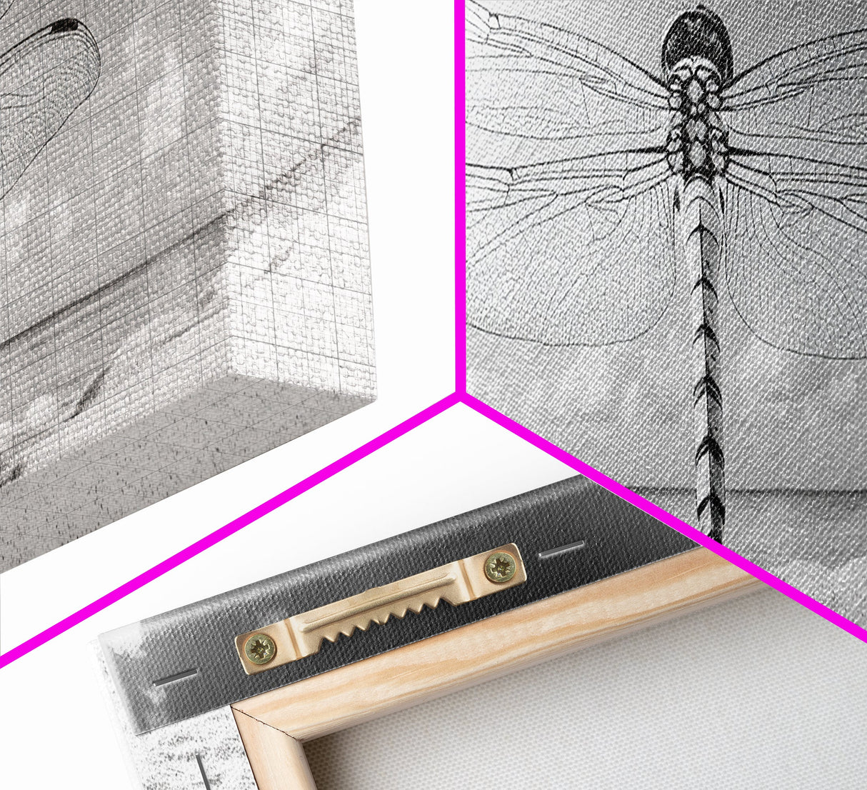 Dragonfly Beach Art, Detailed Insect Wings, Nature Wall Decor, Framed Canvas Print, Boho Bedroom Art, Minimal Wildlife Photography
