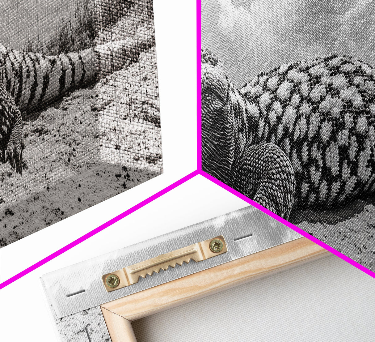 Desert Lizard, Reptile Closeup, Sunbaked Texture, Canvas Print, Wildlife Photography, Bold Wall Art, Southwestern Living Room