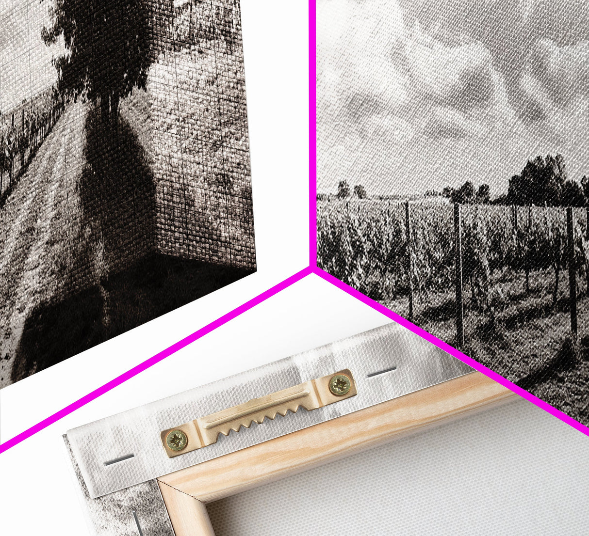 Vineyard Rows, Sunny Fields, Cloudy Sky, Canvas Print, Rustic Country Decor, Dining Room Wall Art, Wine Country Landscape, Farmhouse Style