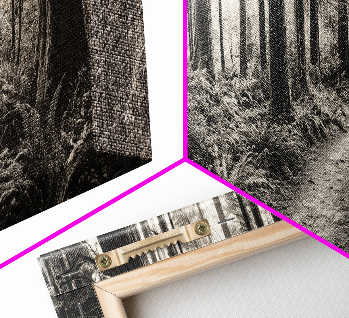 Redwood Forest, Nature Path, Fern Understory, Framed Canvas Print, Moody Nature Photography, Office Wall Art, Forest Bathing Vibes