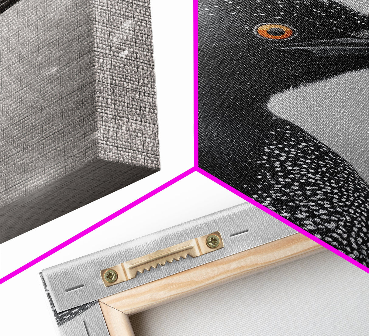 Black Loon, Bird Closeup, Snowy Glow, Winter Nature Canvas Print, Wildlife Wall Art, Modern Bedroom Decor, Birdwatcher Gift Print