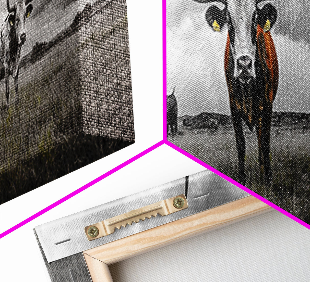 Texas Longhorns, Bull and Bear Art, Rustic Wall Art, Moody Art, Extra Wide Art, Framed Canvas Print, Horizontal Wall Art, Gift Idea
