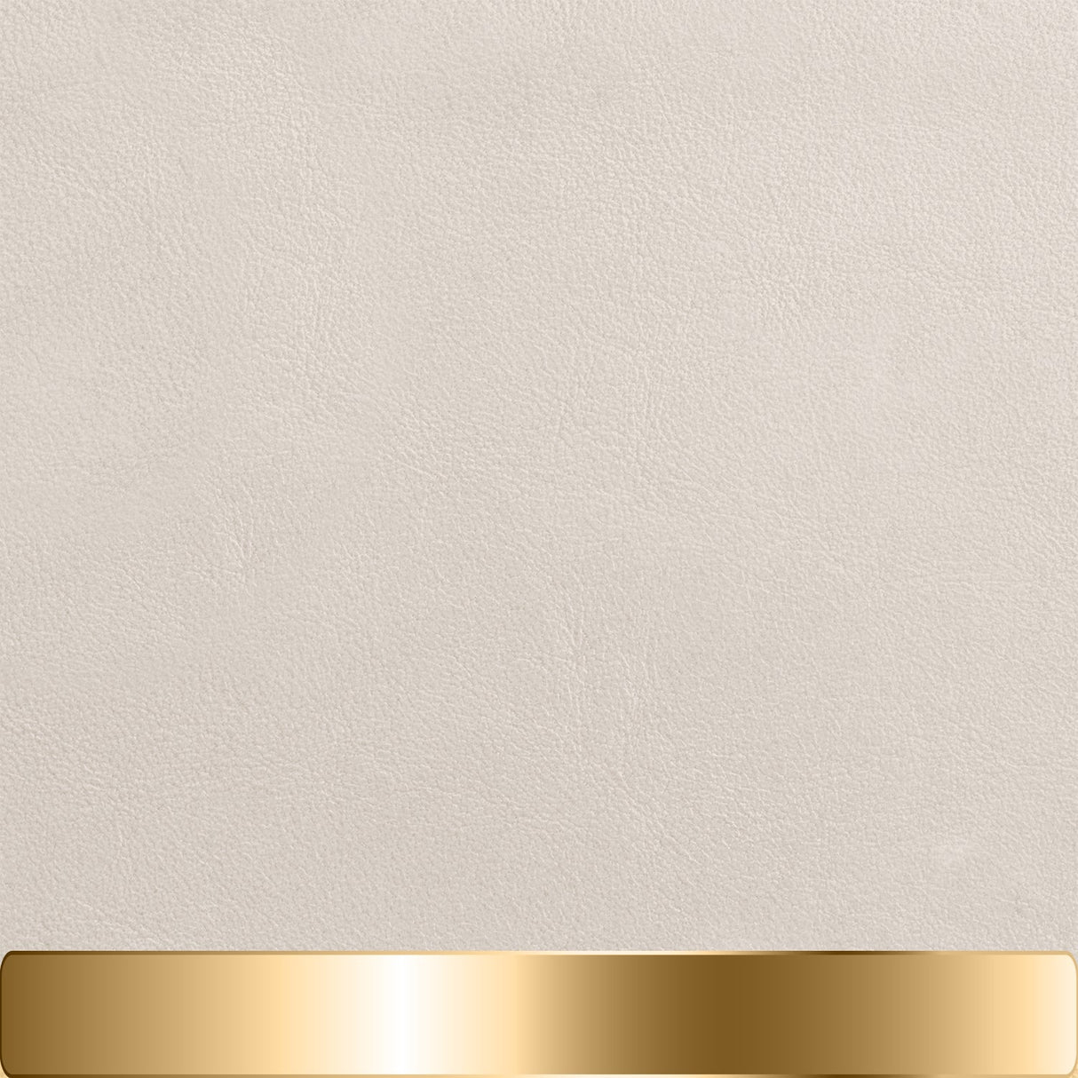 The Chapstick Holder