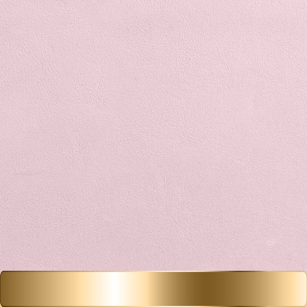 The Chapstick Holder