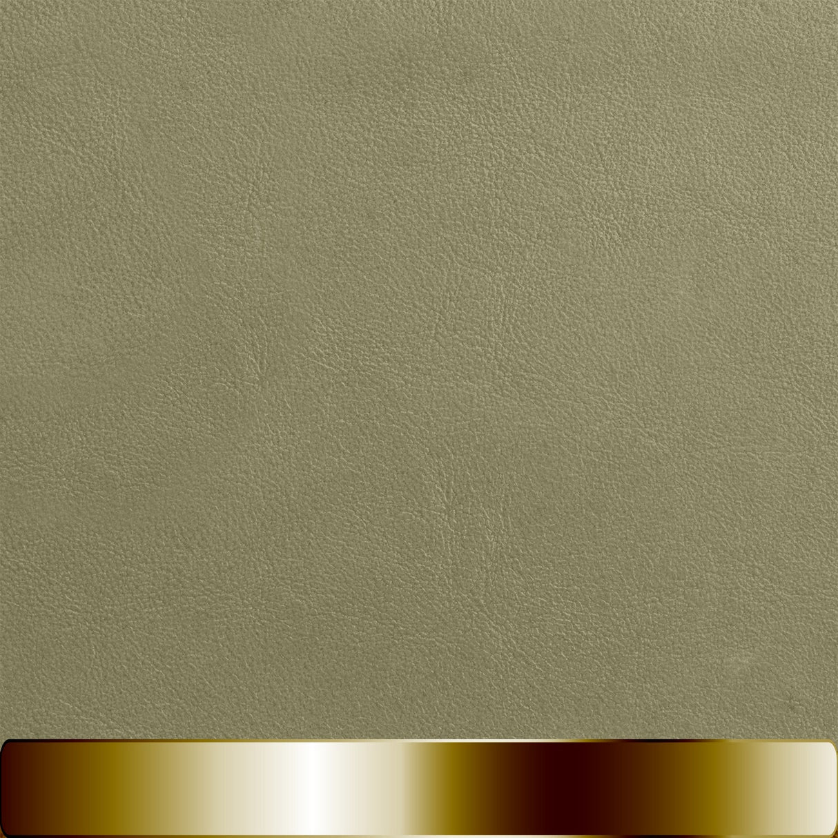 The Chapstick Holder