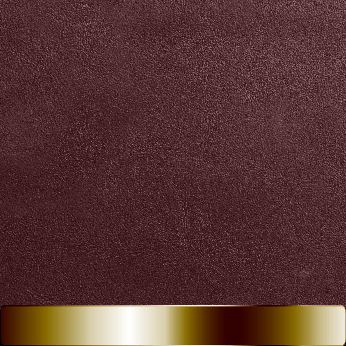 The Chapstick Holder