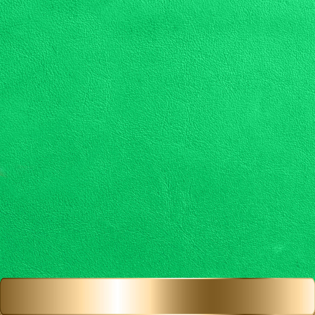 The Chapstick Holder