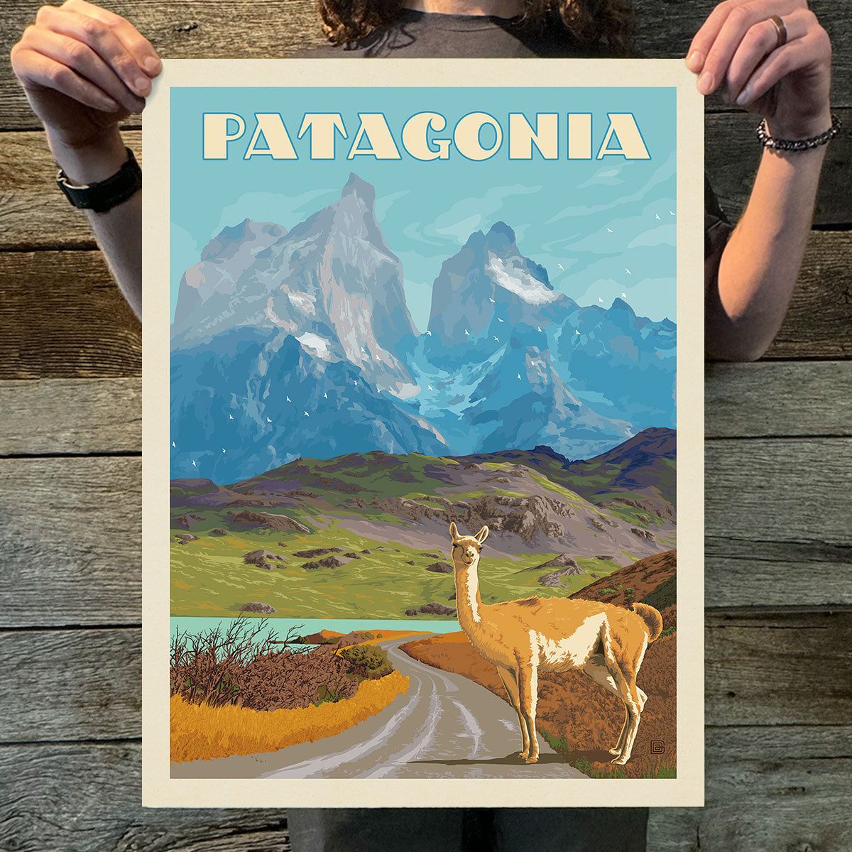 Patagonia (World Travel) Art Print