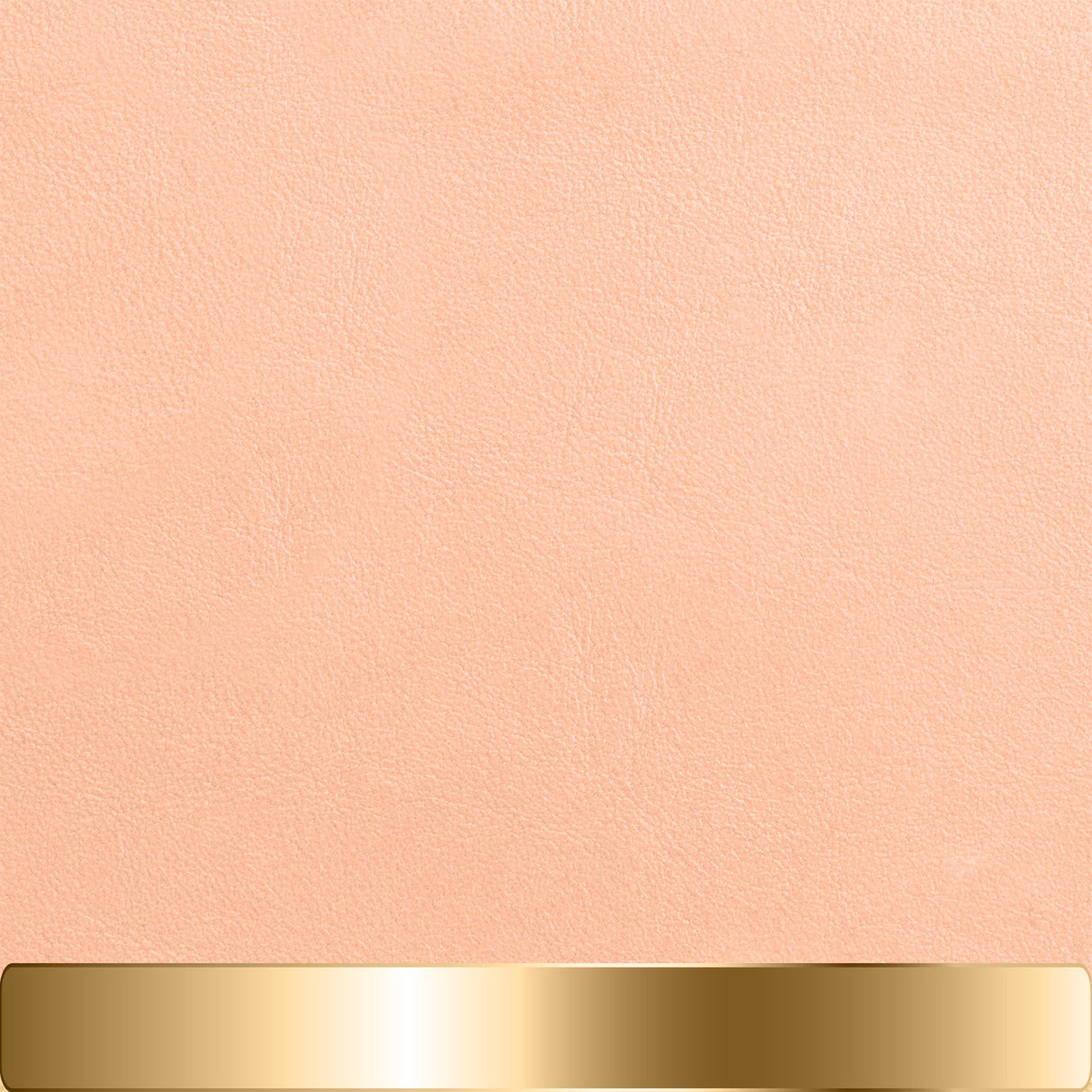 The Chapstick Holder