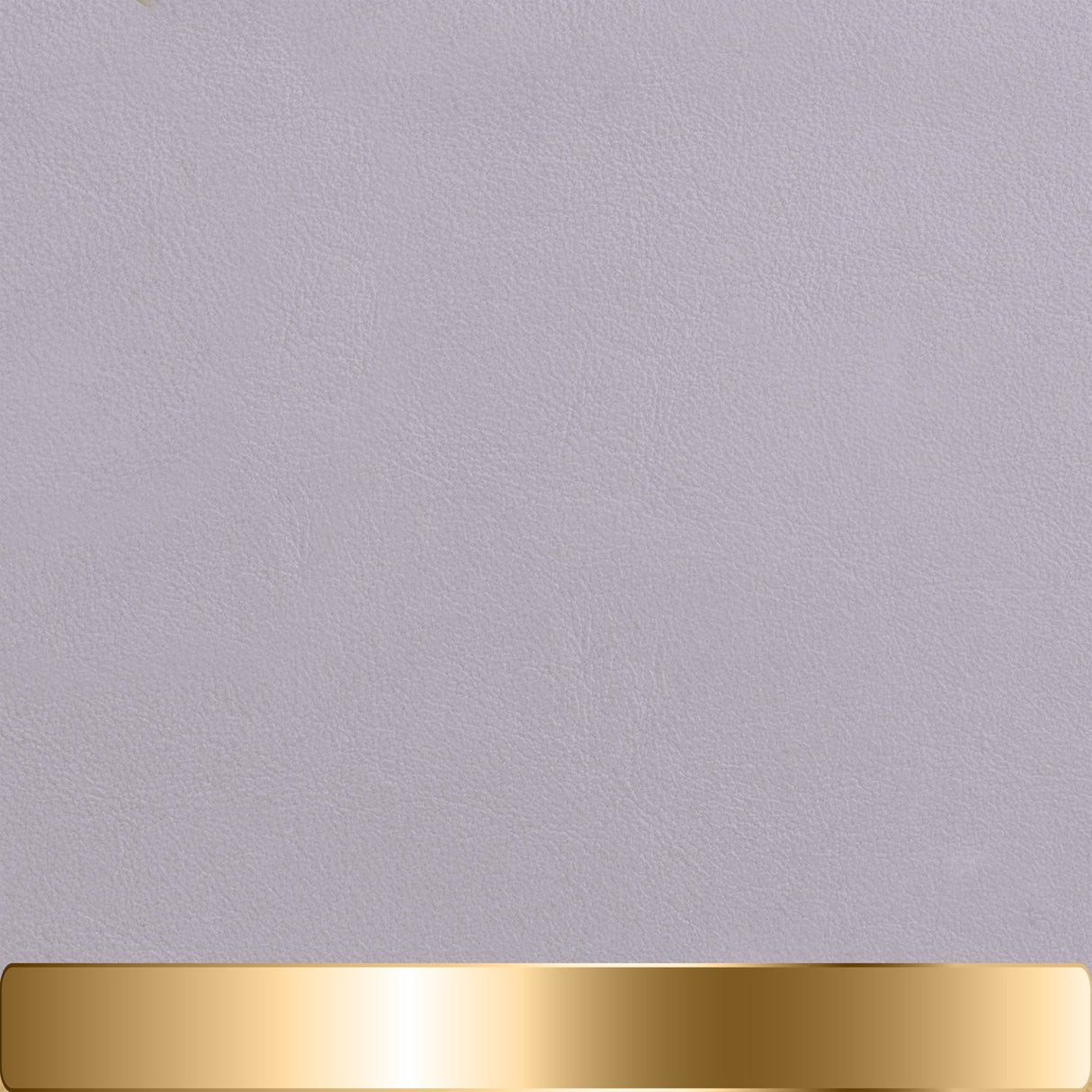 The Chapstick Holder