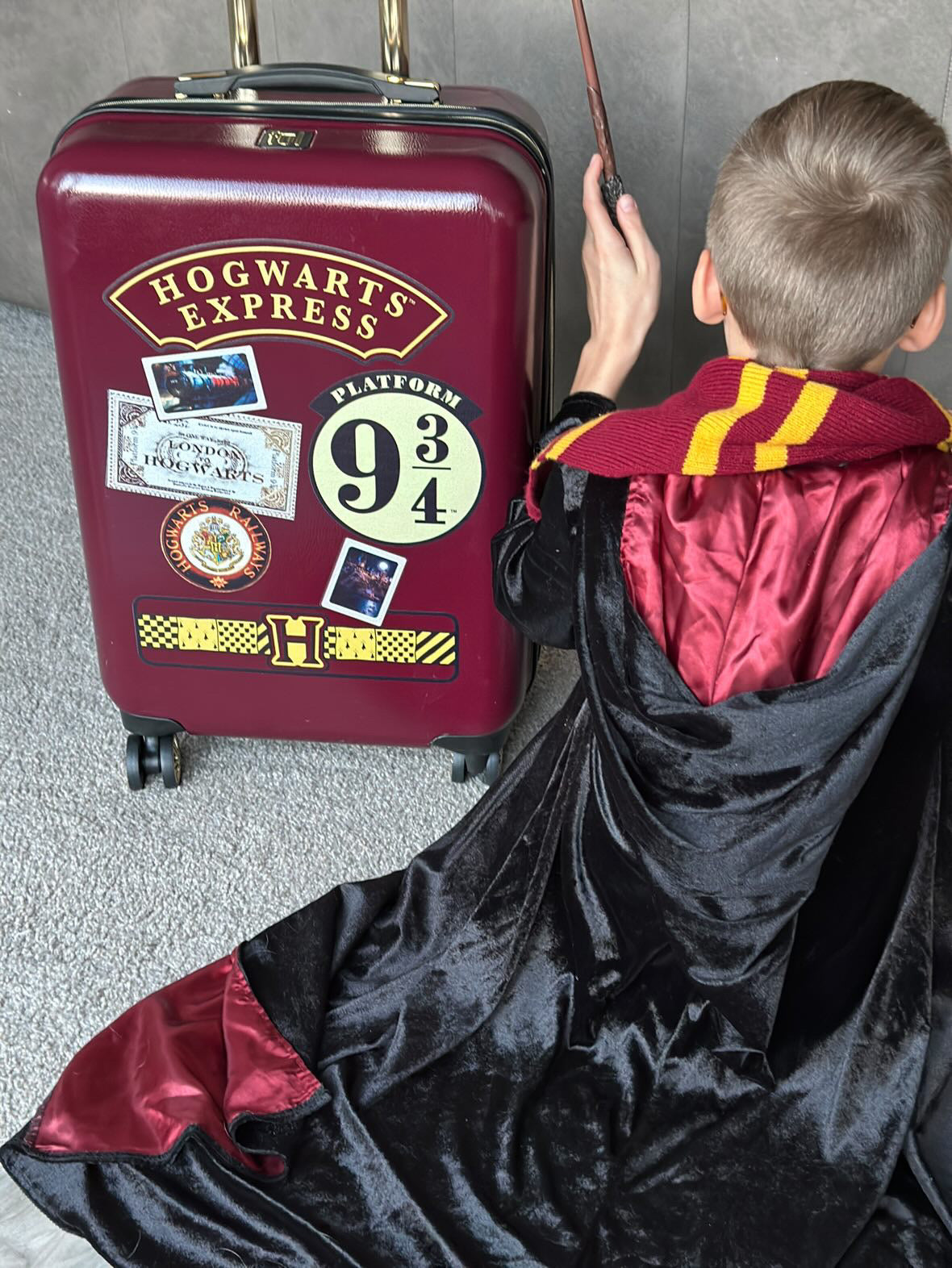 Harry Potter Hogwarts Express 21.5" Luggage Burgundy