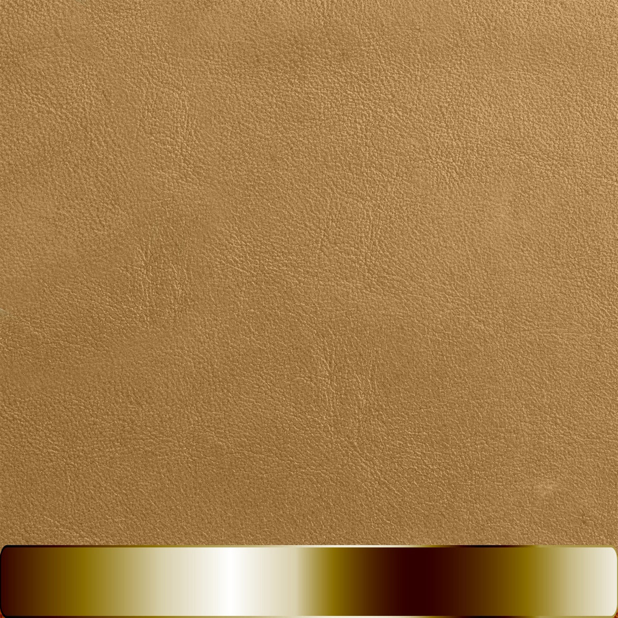 The Chapstick Holder