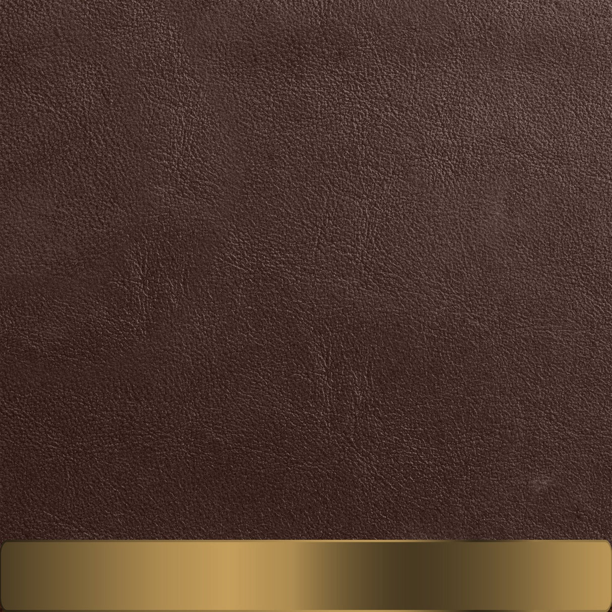 The Chapstick Holder