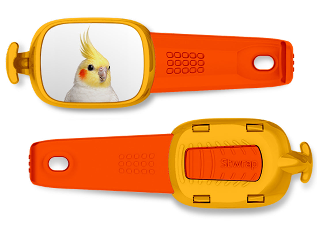 Cockatiel Stwrap