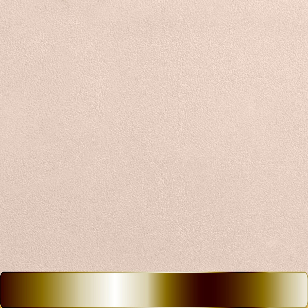 The Chapstick Holder