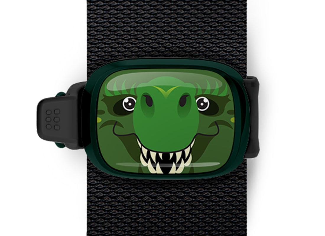 Tyrannosaurus Rex Stwrap