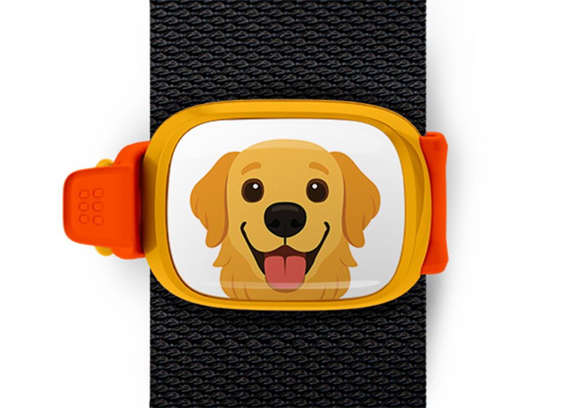 Golden Retriever Stwrap