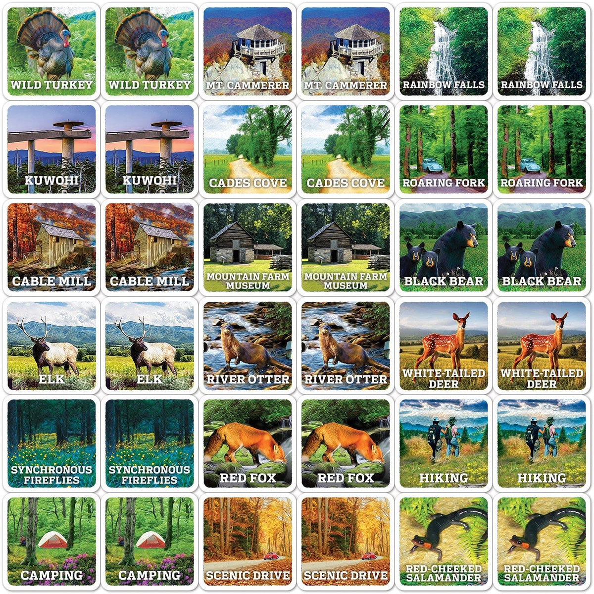 Jr. Ranger - Great Smoky Mountains Matching Game