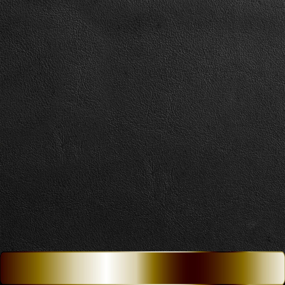 The Chapstick Holder