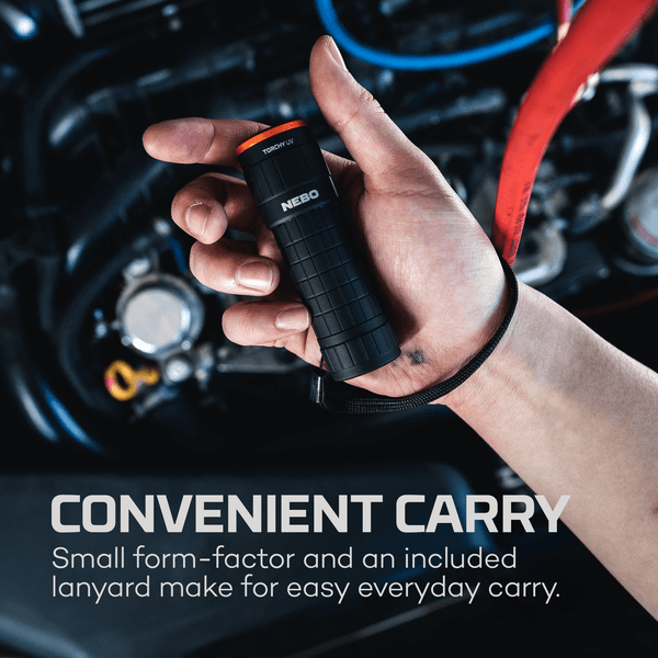 TORCHY Dual Band UV-AV & Blacklight Flashlight