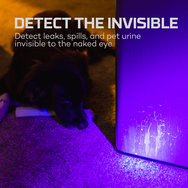 TORCHY Dual Band UV-AV & Blacklight Flashlight