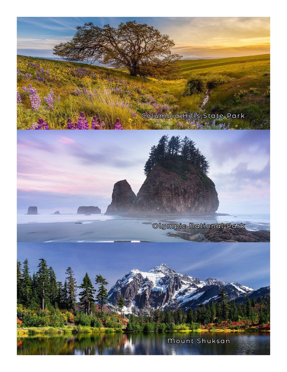 New - Washington State Parks - Adventure Book