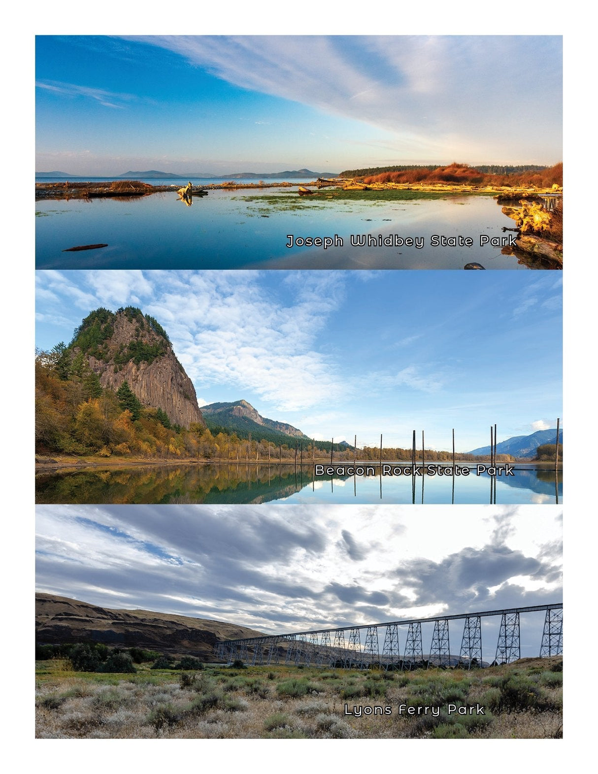 New - Washington State Parks - Adventure Book