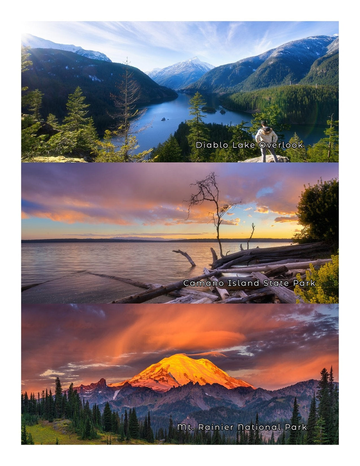 New - Washington State Parks - Adventure Book