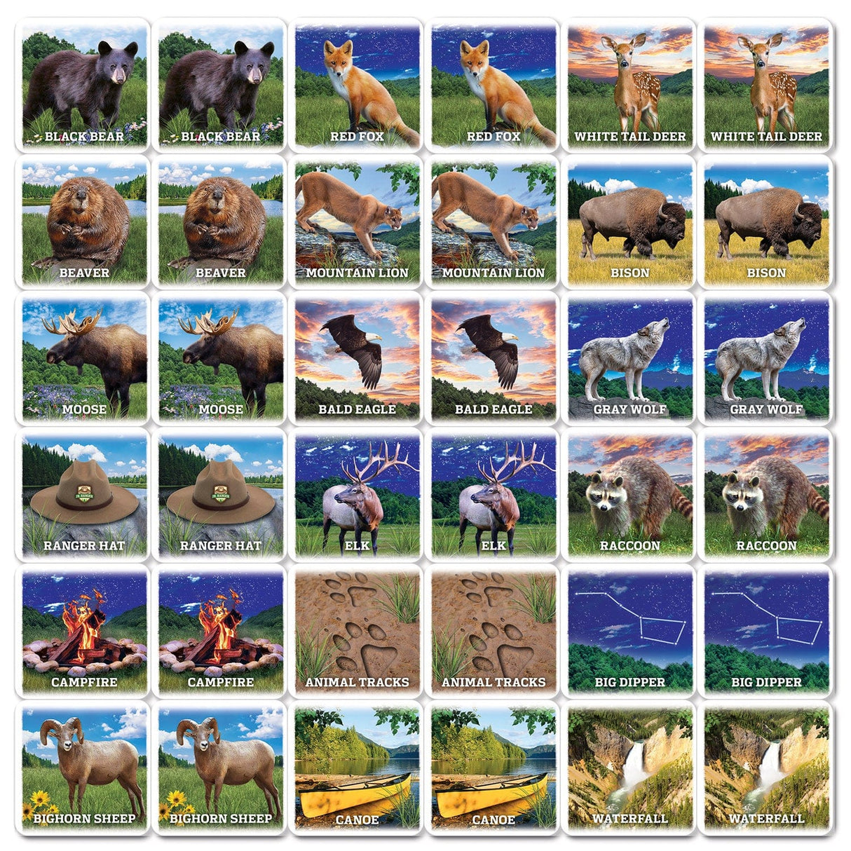 Jr. Ranger Matching Game